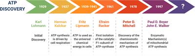 High ATP Production Fuels Cancer Drug Resistance and Metastasis: Implications for Mitochondrial ATP Depletion Therapy